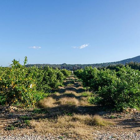 El Limonar De Mallorca - Agroturismo Islas Baleares Exterior foto